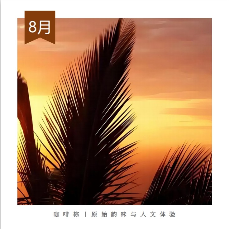 8、Coffee Brown  Original Charm and Humanistic Experience