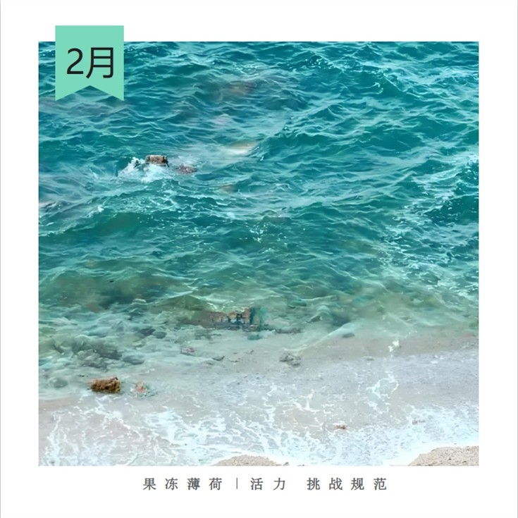 2、Jelly Mint  Vitality Challenge Norms